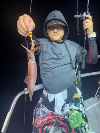 マイカ(ケンサキイカ)