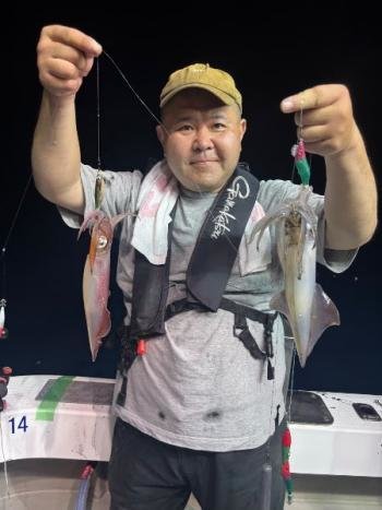 マイカ(ケンサキイカ)