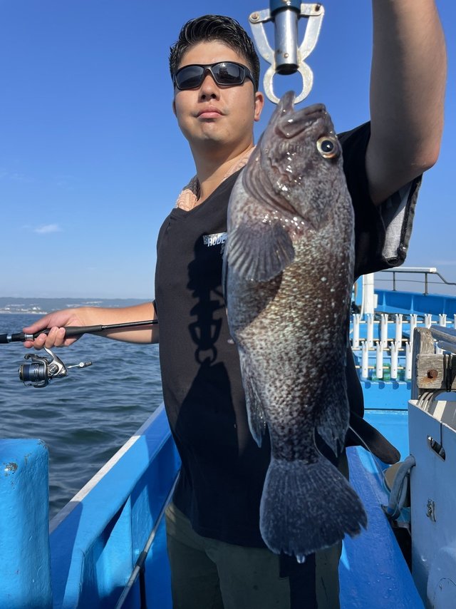 マゾイ(キツネメバル)