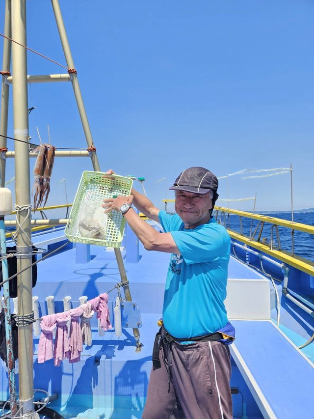 スルメ(スルメイカ)