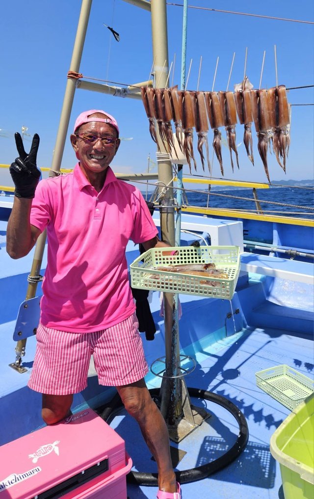 スルメ(スルメイカ)