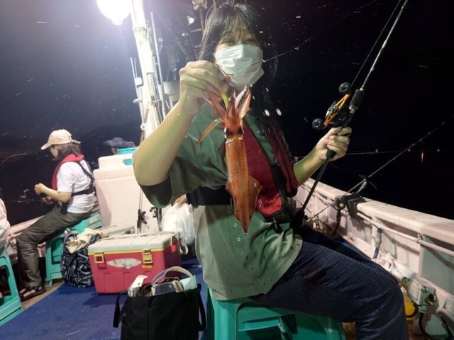 マイカ(ケンサキイカ)