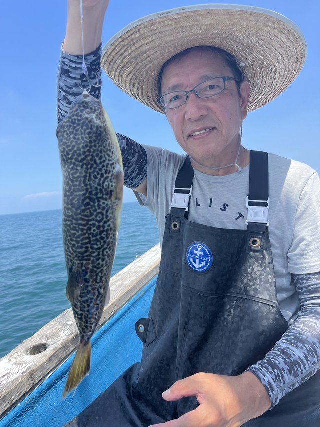 ショウサイフグ