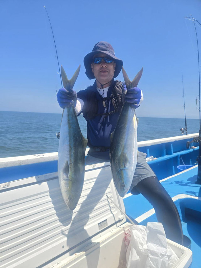 ワラサ(ブリ)・ヒラマサ