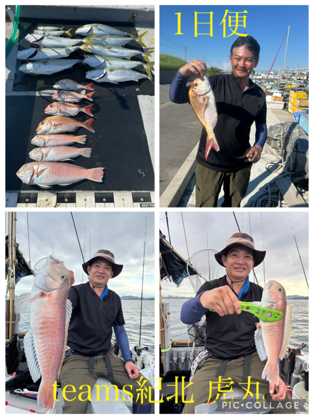 タイ(マダイ)・アジ(マアジ)・モジャコ(ブリ)・メジロ(ブリ)・シロアマダイ