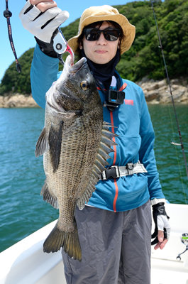 チヌ(クロダイ)