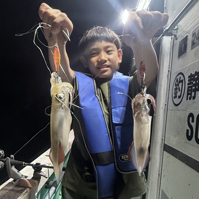 マルイカ(ケンサキイカ)