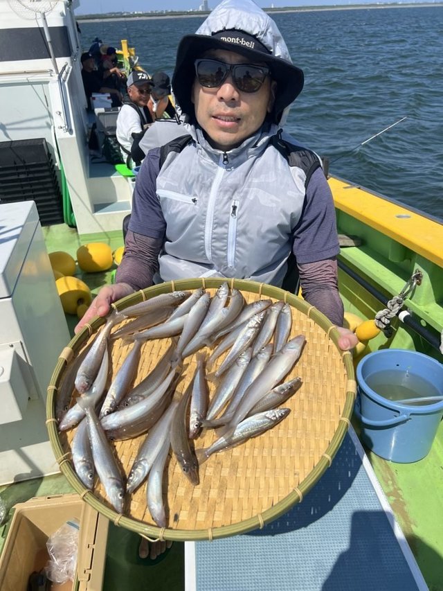 シロキス(シロギス)