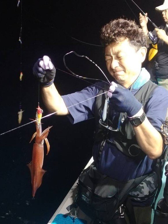 イカ(ヤリイカ)