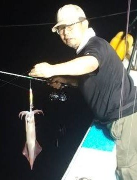 イカ(ヤリイカ)