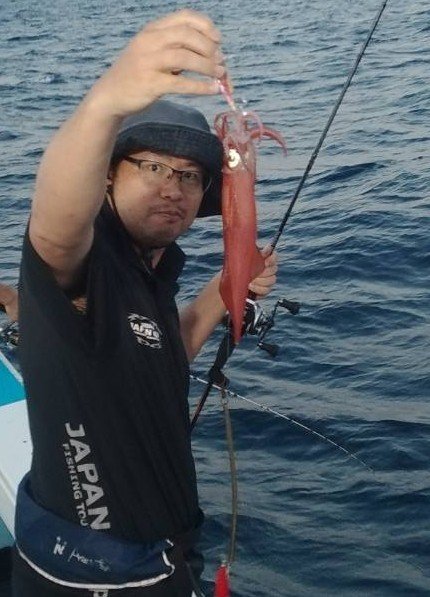 イカ(ヤリイカ)