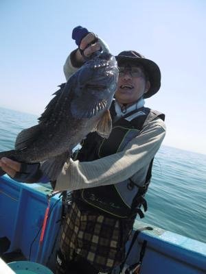 ソイ(クロソイ)