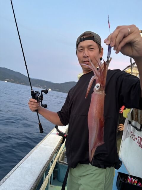 マイカ(ケンサキイカ)