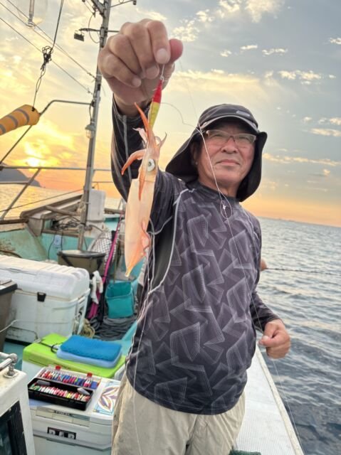 マイカ(ケンサキイカ)