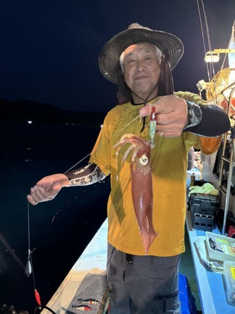 マイカ(ケンサキイカ)