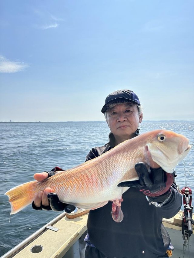 アマダイ(アカアマダイ)