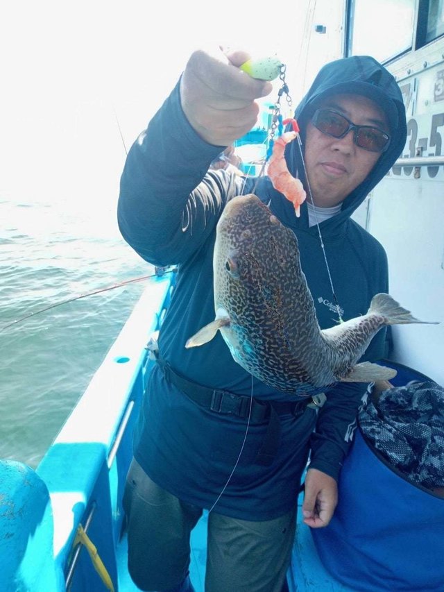 フグ(ショウサイフグ)