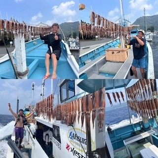 スルメ(スルメイカ)