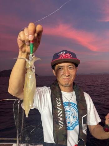 マイカ(ケンサキイカ)