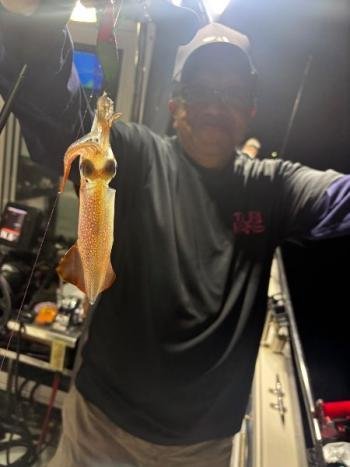 マイカ(ケンサキイカ)