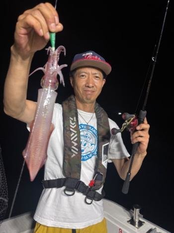 マイカ(ケンサキイカ)