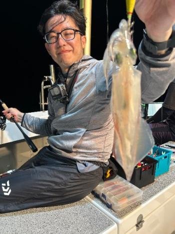 マイカ(ケンサキイカ)