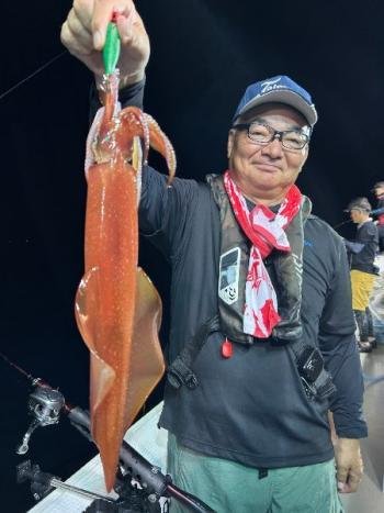 マイカ(ケンサキイカ)