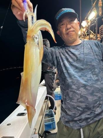 マイカ(ケンサキイカ)