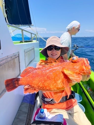 カンコ(ウッカリカサゴ)