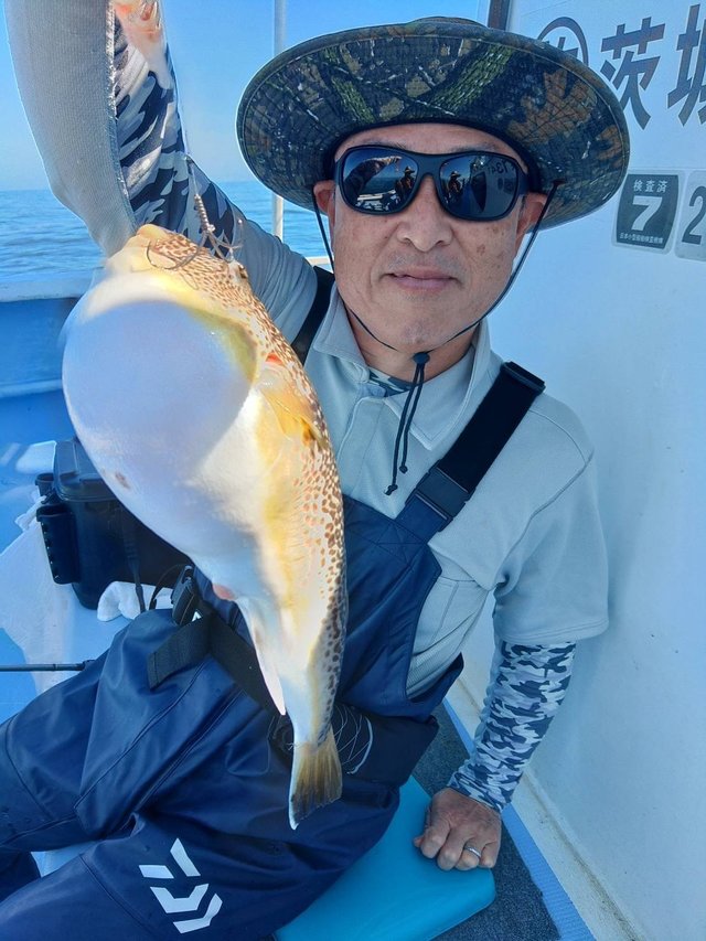 ショウサイフグ