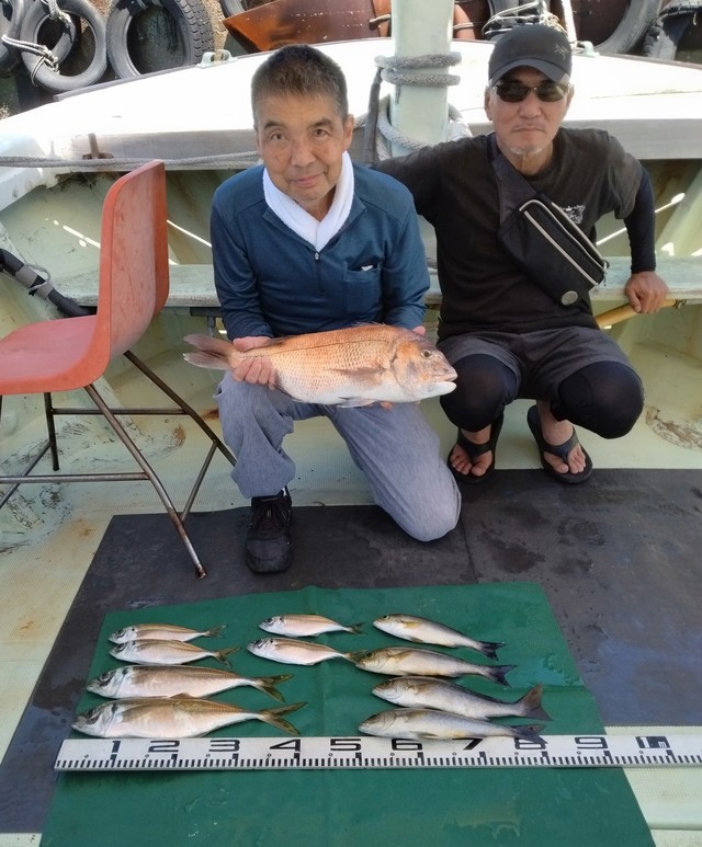 マダイ・マアジ・イサギ(イサキ)