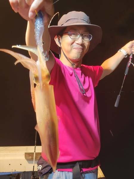 マイカ(ケンサキイカ)