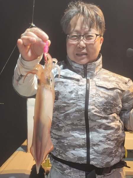 マイカ(ケンサキイカ)