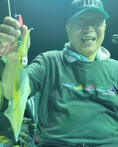 マイカ(ケンサキイカ)