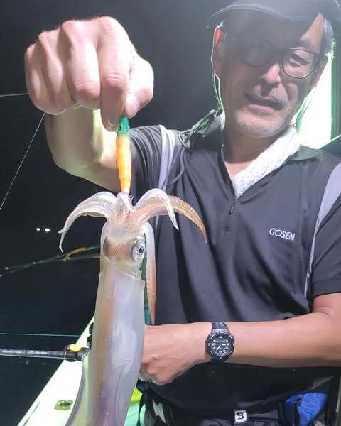 マイカ(ケンサキイカ)