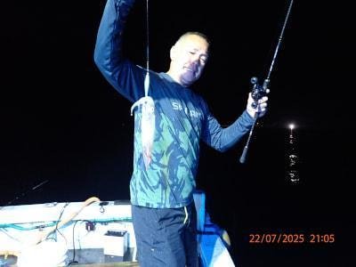 シロイカ(ケンサキイカ)