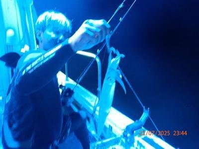 シロイカ(ケンサキイカ)