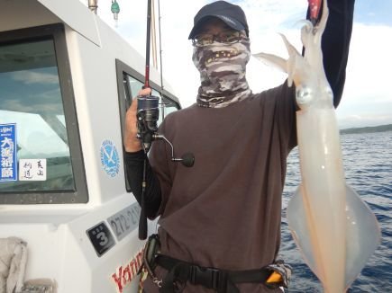 シロイカ(ケンサキイカ)