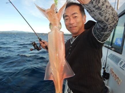 シロイカ(ケンサキイカ)