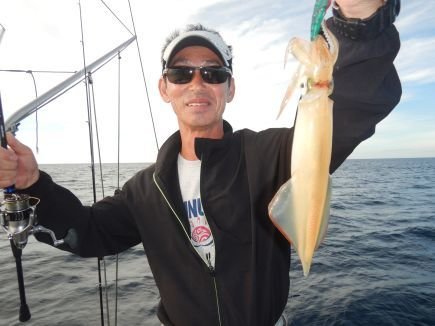 シロイカ(ケンサキイカ)