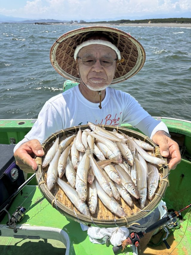 キス(シロギス)