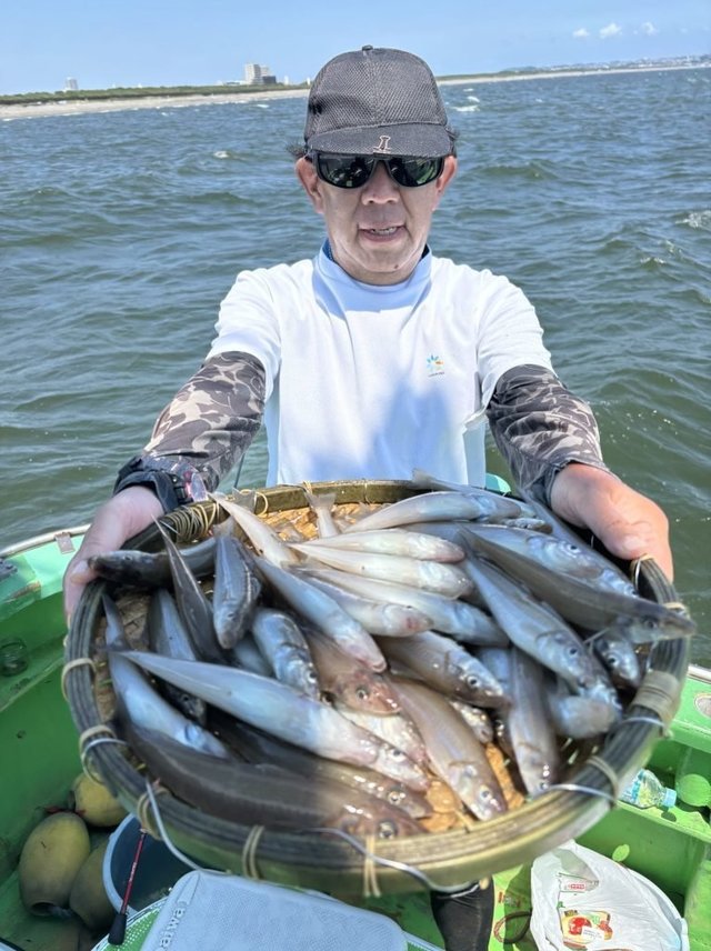 キス(シロギス)