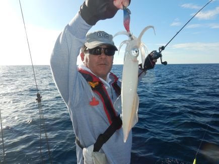 シロイカ(ケンサキイカ)