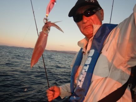 シロイカ(ケンサキイカ)