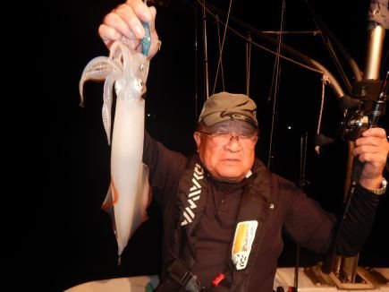 シロイカ(ケンサキイカ)