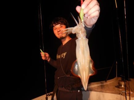 シロイカ(ケンサキイカ)