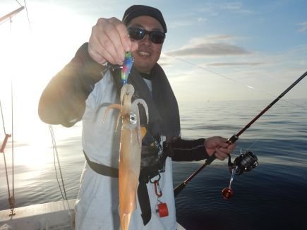 シロイカ(ケンサキイカ)