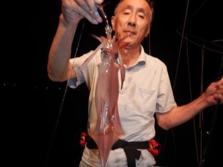 シロイカ(ケンサキイカ)