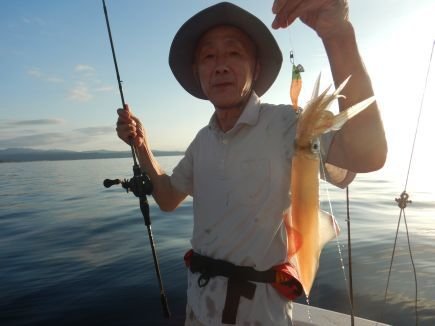 シロイカ(ケンサキイカ)