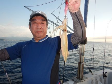 シロイカ(ケンサキイカ)